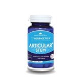 Articular Stem, 30 capsule, Herbagetică