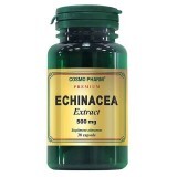 Echinacea Extract 500 mg, 30 capsule, Cosmopharm