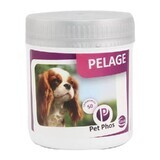 Supliment de vitamine pentru protejarea pielii si sanatatea blanii la caini Pet Phos Canin Special Pelage, 50 tablete, Ceva Sante