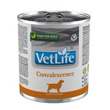 Hrana dietetica pentru caini Convalescence, 300 g, Vet Life