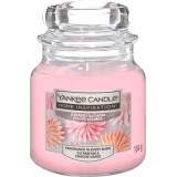 Yankee Candle Lumânare parfumată sugared blossom, 104 g
