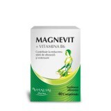 Magnevit + Vitamina B6, 40 comprimate, Viva Pharma