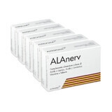 Alanerv Pachet, supliment alimentar pentru sistemul nervos, 100 (5x20) capsule moi, Alfasigma