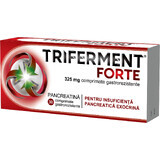 Triferment Forte, 325 mg, 10 comprimate gastrorezistente, Biofarm