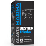 Bestier Tribulus Alavis Maxima, 60 capsule vegetale, Alavis Maxima