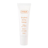 Gloss de buze cu mango Lip Care, 12 ml, Ziaja