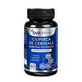 Ciupera de cerneala, 60 capsule, DVR Pharm