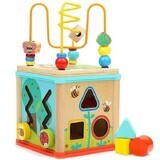 5 in 1 Activity Centre Magic Garden, 1 year+, Topbright