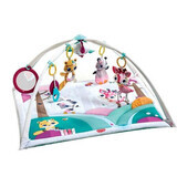 Centru de joaca Princess Tales, Gymini Deluxe, Tiny Love