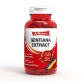 Gentiana