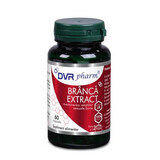 Extract de Branca Ursului, 60 capsule, DVR Pharm