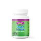 Guggul Formula, 120 tablete, Indian Herbal
