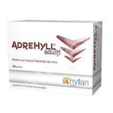 Adrehyll