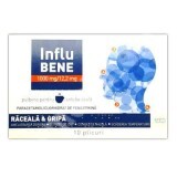 Influbene 1000 mg, 10 plicuri, Teva Pharmaceuticals
