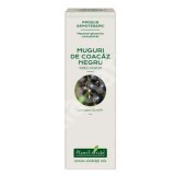 Muguri de Coacaz Negru, 15 ml, Plant Extrakt