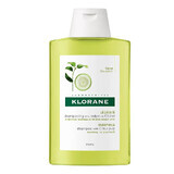 Șampon cu pulpă de citrice pentru păr cu tendință de îngrășare, 200 ml, Klorane