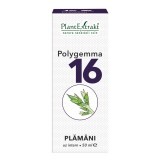 Polygemma 16,  Plămâni, 50 ml, Plant Extrakt