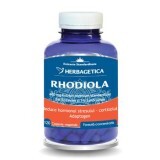 Rhodiola, 120 capsule, Herbagetica 