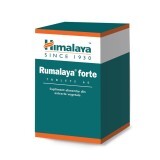 Rumalaya Forte, 60 tablete, Himalaya