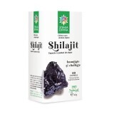 Shilajit, 60 capsule, Steaua Divină