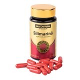 Silimarină 490mg, 60 capsule, Only Natural