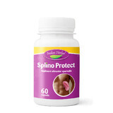 Splino Protect, 60 capsule, Indian Herbal