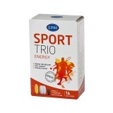 Sport Trio  S3, 16 doze, Lysi