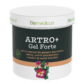 Artro Gel forte cu extract de gheara diavolului, salcie, untul pamantului, camfor si metil salicilat, 250 ml, Biomedicus