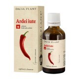 Tinctură de Ardei iute, 50 ml, Dacia Plant