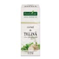 Tinctura de Telina, 50 ml, Plant Extrakt