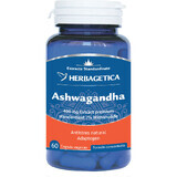 Ashwagandha, 60 capsule, Herbagetica