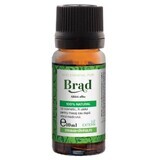 Ulei esential pur din Brad, 10 ml, Steaua Divina