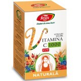 Vitamina C 1000 naturala F175, 10 plicuri, Fares