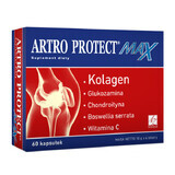 Artro Protect Max, 60 capsule