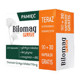 Bilomag Plus, 90 + 30 capsule gratuite