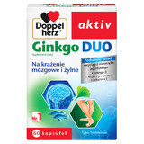 Doppelherz aktiv Ginkgo Duo, 60 capsule