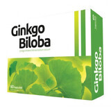 Ginkgo Biloba, 60 capsule