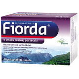 Fiorda, aromă de coacăze negre, 60 de pastiluțe