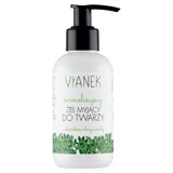 Vianek, gel de spălare a feței normalizant, 150 ml