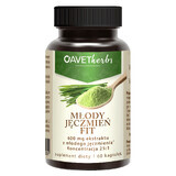 Avet Herbs Young Barley Fit, 60 capsule