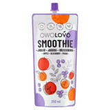 Owolovo Smoothie în tub, mere, afine, piersici, 250 ml