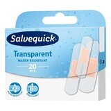 Salvequick Transparent, pansamente transparente, impermeabile, 20 bucăți