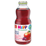 HiPP Tea &amp; Juice Bio, ceai de măceșe cu suc de fructe roșii, după 4 luni, 500 ml