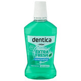 Dentica, apă de gură, Extra Fresh, 500 ml