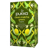 Pukka Clean Matcha Green Organic, tè verde con Matcha, 1,5 g x 20 bustine