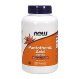 Now Foods Acid pantotenic, Acid pantotenic 500 mg, 250 capsule vegetariene