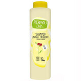 Ekos, șampon de uz zilnic cu extract organic de ovăz, hidratant, Eco, 500 ml