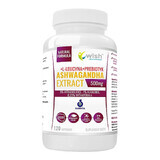 Wish Ashwagandha Extract, ashwagandha 500 mg + L-leucină + prebiotic, 120 capsule