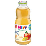 HiPP Tea &amp; Juice Bio, ceai de fenicul cu suc de mere, după 4 luni, 500 ml