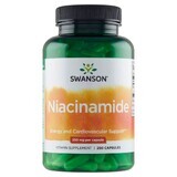 Swanson Niacinamide, niacină 250 mg, 250 capsule